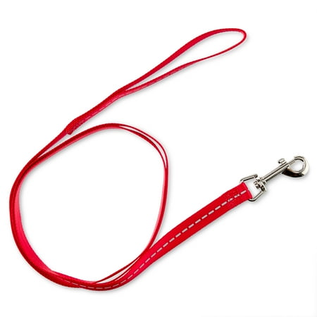 Vibrant Life 5' Reflective Polyester Dog Leash, Red, Medium