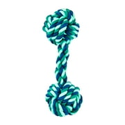 Vibrant Life 2 Knot Rope Dog Chew Toy