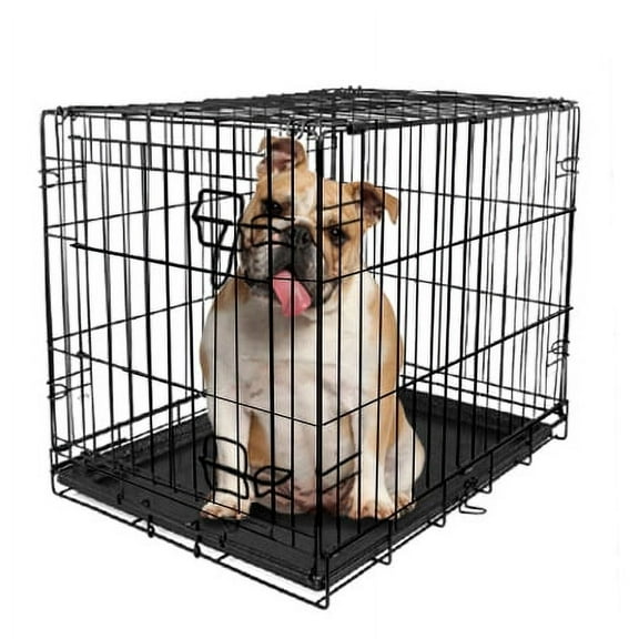 Vibrant Life Foldable 36" Wire Crate for Dogs with Divider and Leak-Proof Tray