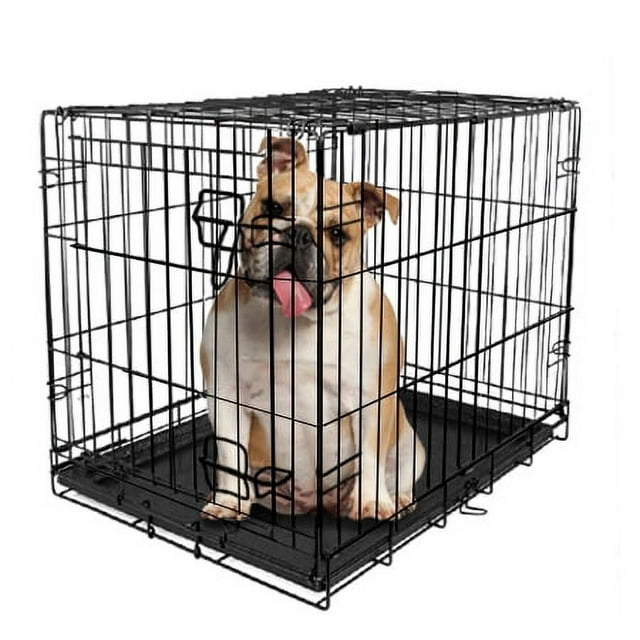 Vibrant Life, SingleDoor Folding Dog Crate with Divider, Large, 36