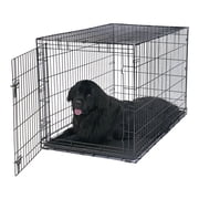 Vibrant Life Foldable 48" Wire Crate for Dogs with Divider and Leak-Proof Tray