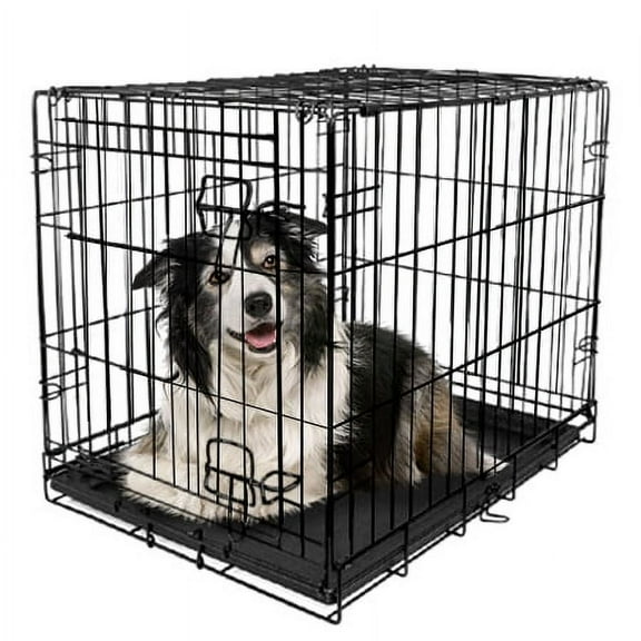 Vibrant Life Foldable 42" Wire Crate for Dogs with Divider and Leak-Proof Tray