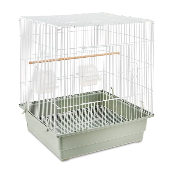 Vibrant Life Small Bird Cage with Perch, Plastic Hooded Cup & Tray for Parakeets & Finches, White