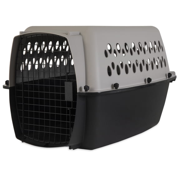 Vibrant Life Small/Medium Hard-Sided Pet Carrier, Black and Gray, 25 lb Limit