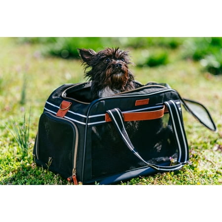 Vibrant Life Small Pet Travel Carrier, Black and Tan, 17" x 10.5" x 11"