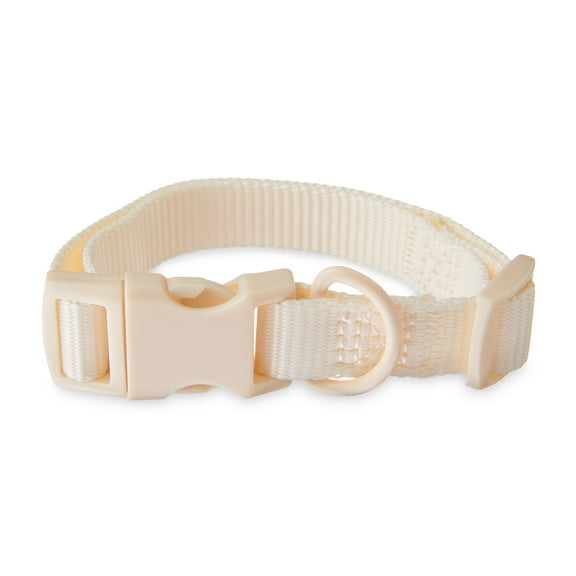 Vibrant Life Solid Adjustable Dog Collar, Cream, SM