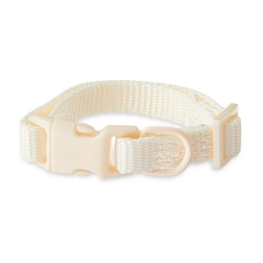 Vibrant Life Solid Adjustable Dog Collar, Cream, X-Small