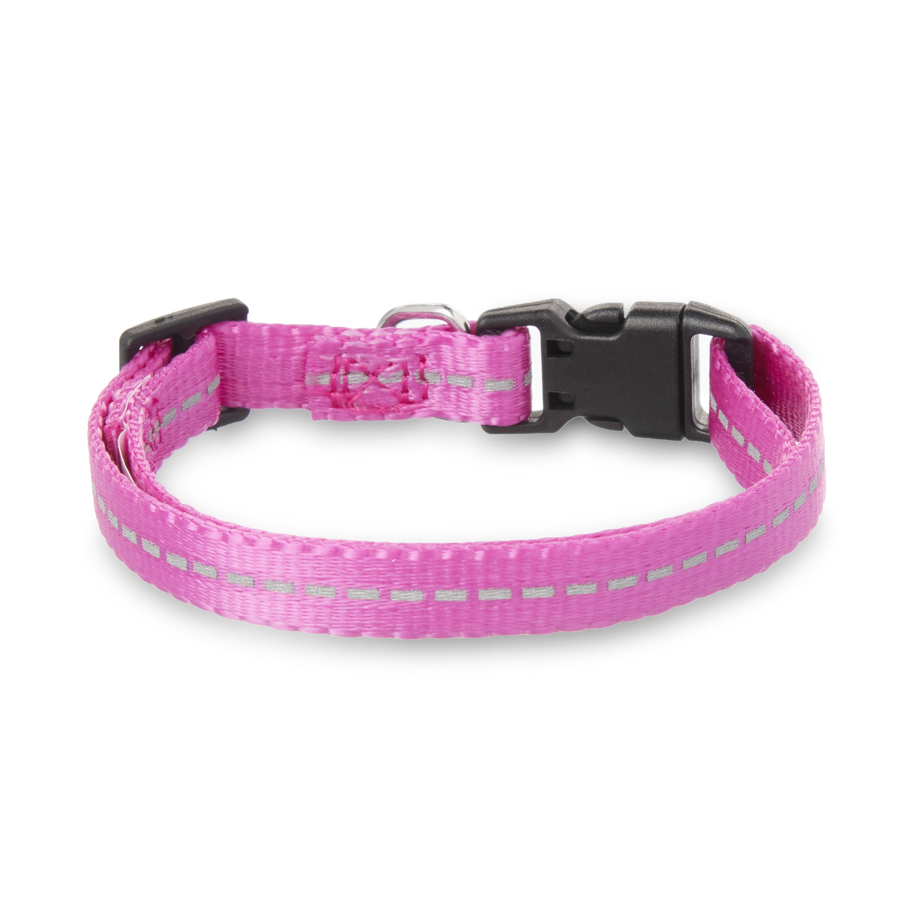 Vibrant Life Solid Nylon Dog Collar, Purple, Small