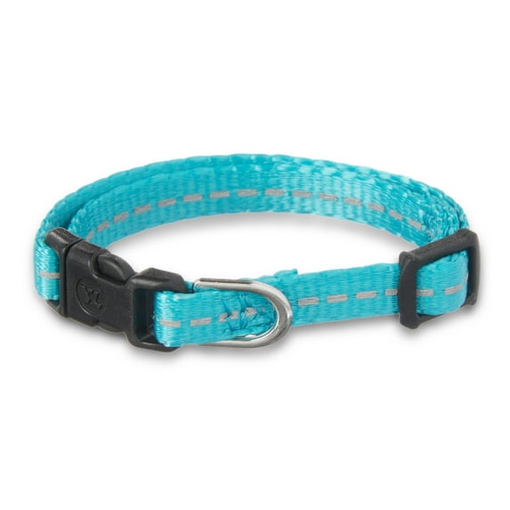 Vibrant Life Solid Nylon Dog Collar, Teal, x-Small