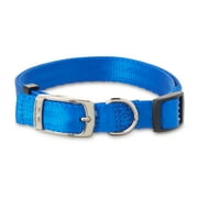 Vibrant Life Solid Nylon Dog Collar with Metal Clasp, Blue, Medium
