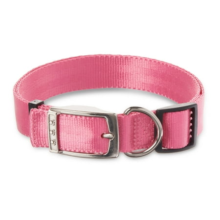 Vibrant Life Solid Nylon Dog Collar with Metal Buckle, Pink, Large