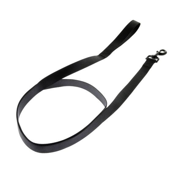 Vibrant Life Solid Polyester 4ft Dog Leash, Black - For Medium & Large Dogs
