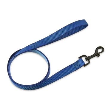 Vibrant Life Solid Polyester 4ft Dog Leash, Blue - For Medium & Large Dogs