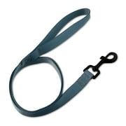 Vibrant Life Polyester Standard Dog Leash for Medium to Large Dogs, Gray, 4'