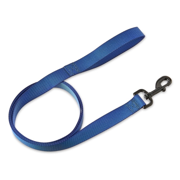 Vibrant Life 6' Solid Polyester Leash, Blue, M/L