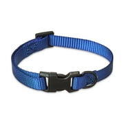 Vibrant Life Solid Polyester Adjustable Dog Collar, Blue, Small