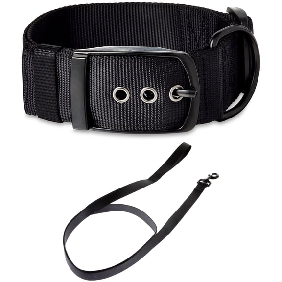 Vibrant Life Solid Polyester Adjustable Dog Collar, with 6ft Dog Leash, Black, Extra Large