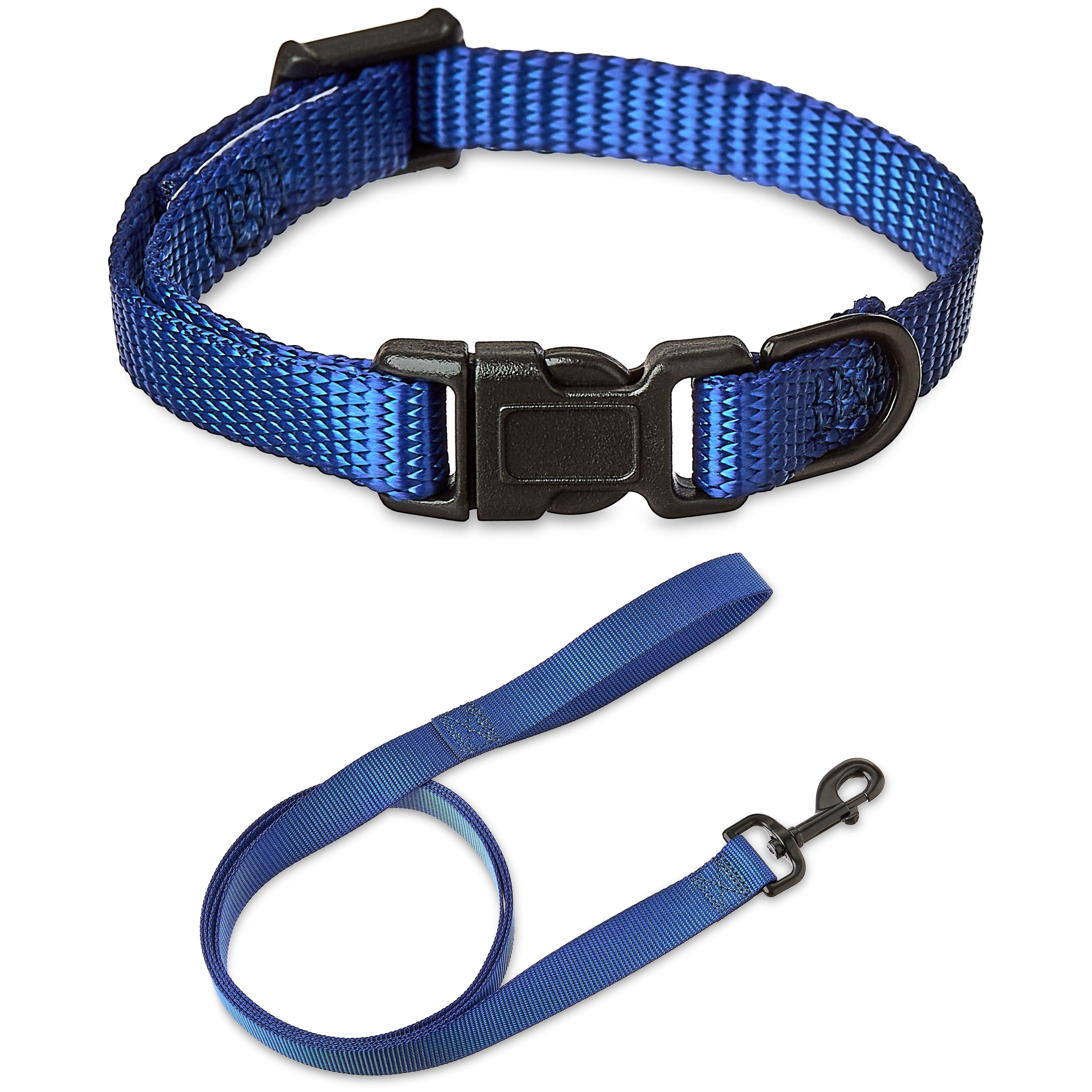 Vibrant Life Solid Polyester Adjustable Dog Collar, with 6ft Dog Leash, Blue, Extra Small