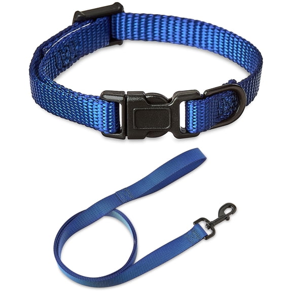 Vibrant Life Solid Polyester Adjustable Dog Collar, with 6ft Dog Leash, Blue, Extra Small