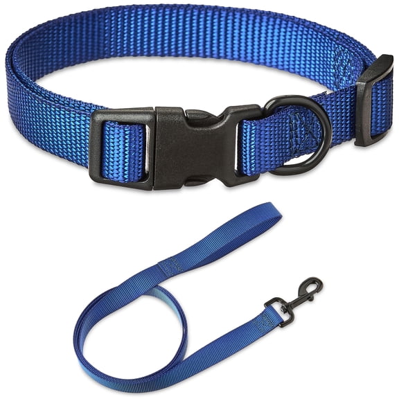 Vibrant Life Solid Polyester Adjustable Dog Collar, with 6ft Dog Leash, Blue, Medium