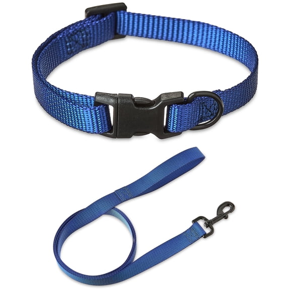 Vibrant Life Solid Polyester Adjustable Dog Collar, with 6ft Dog Leash, Blue, Small