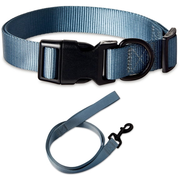 Vibrant Life Solid Polyester Adjustable Dog Collar, with 6ft Dog Leash, Gray, Large
