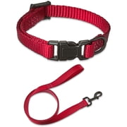 Vibrant Life Solid Polyester Adjustable Dog Collar, with 6ft Dog Leash, Red, Extra Small