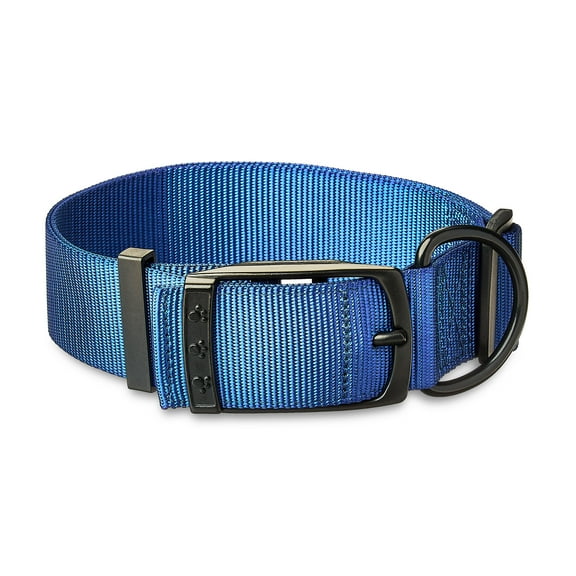 Vibrant Life Solid Polyester Dog Collar with Metal Buckle, Blue, X-Large