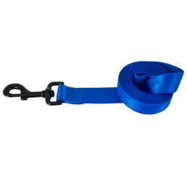 Loops 2 Double Handle 1 Nylon Dog Leash 6 Blue Walmart