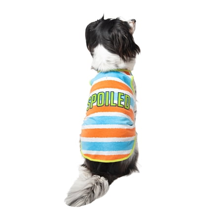 Vibrant Life Spoiled Pet Tank, Medium