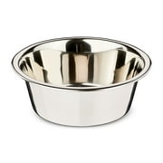 Vibrant Life Stainless Steel Dog Bowl with Paws for Medium Sized Dogs