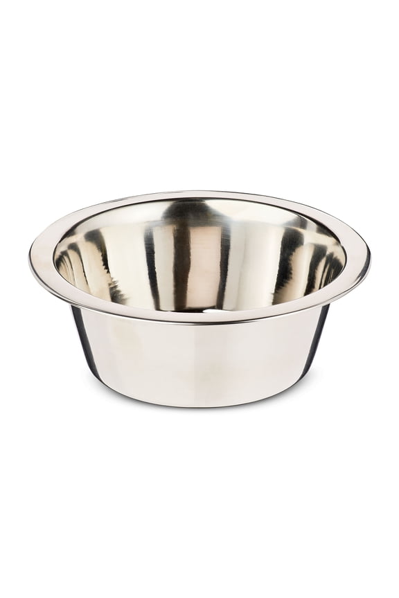 Small 3.4-Cup Stainless Steel Pet Bowl, Silver