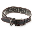 Vibrant Life Studded Fashion Dog Collar, Black, Medium
