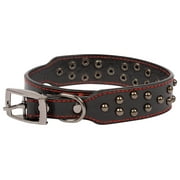 Vibrant Life Studded Leather Fashion Dog Collar, Black, Large