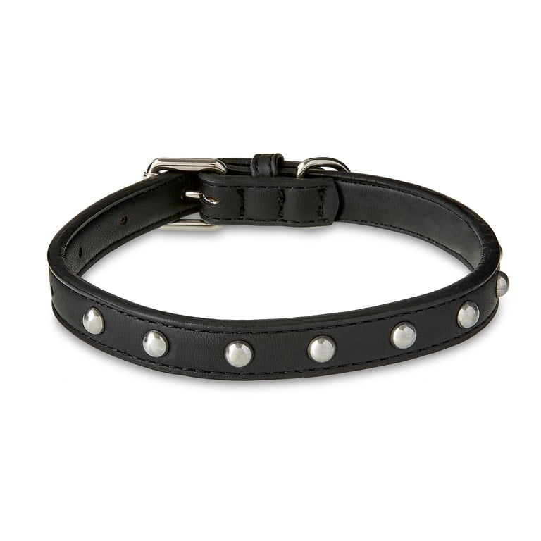 Vibrant Life Leather Black Dog Collar with Gold Studs Adjustable