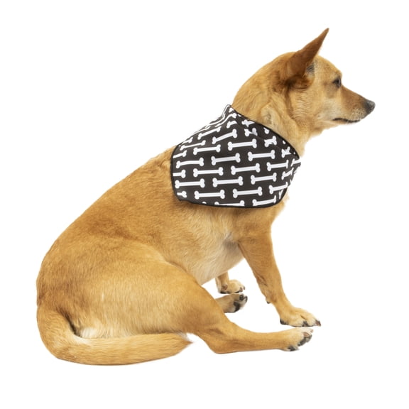Vibrant Life Tail Chaser Bone Print Bandana Set, Neckwear for Dogs of All Life Stages, Size Small