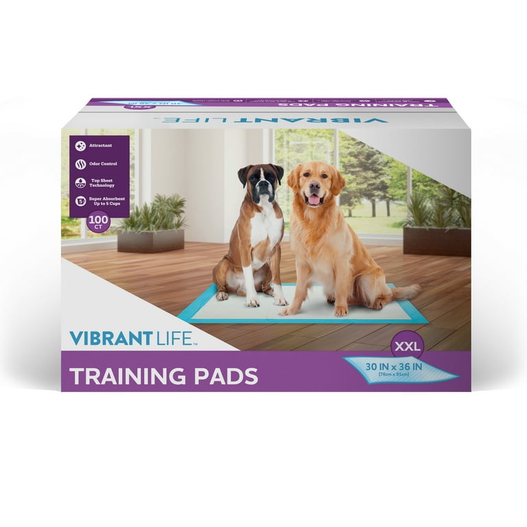Dog potty pads walmart online