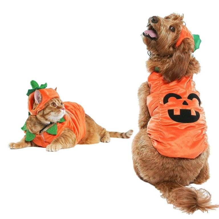 Dog Halloween Costumes Small Dog Pumpkin Costume Vibrant Life Vl