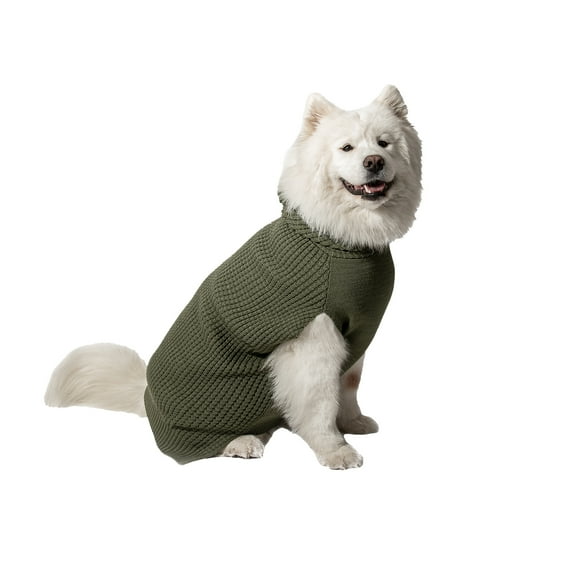 Vibrant Life Halloween Hooded Sweater for Dogs, Waffle Knit, Green, Extra Large