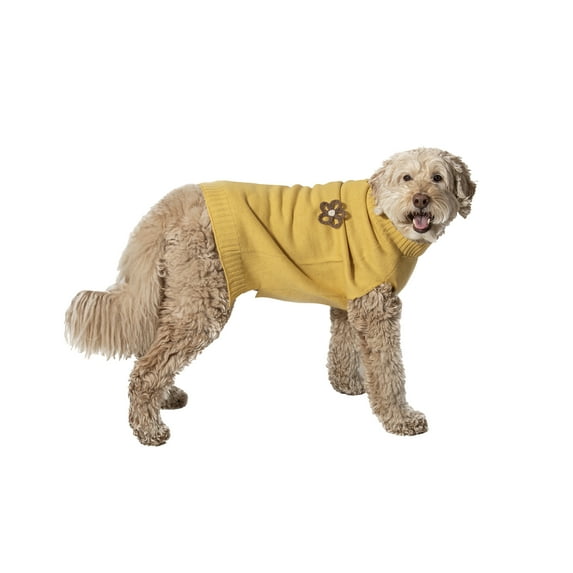 Vibrant Life Halloween Sweater for Dogs, Flowers, Yellow, Large