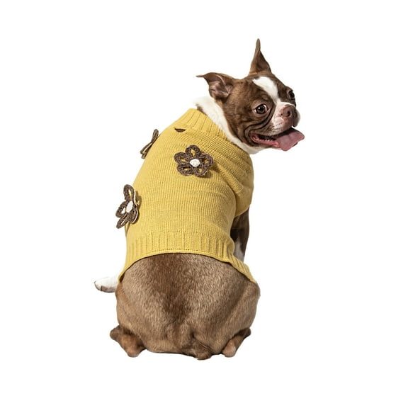 Vibrant Life Halloween Sweater for Dogs & Cats, Flowers, Yellow, Small