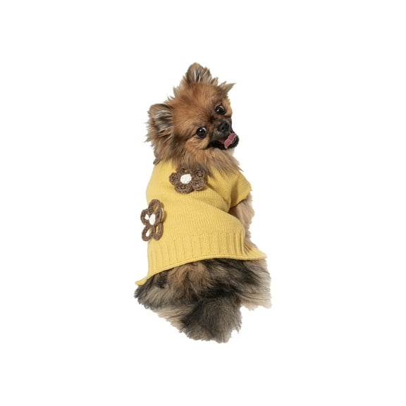 Vibrant Life Halloween Sweater for Dogs & Cats, Flowers, Yellow, Extra Small