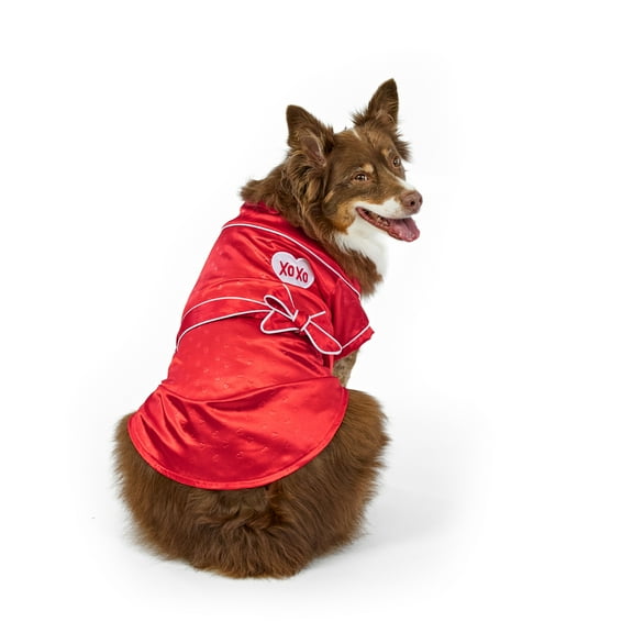 Vibrant Life Valentine's Day Pet Robe for Dogs, Red, Medium