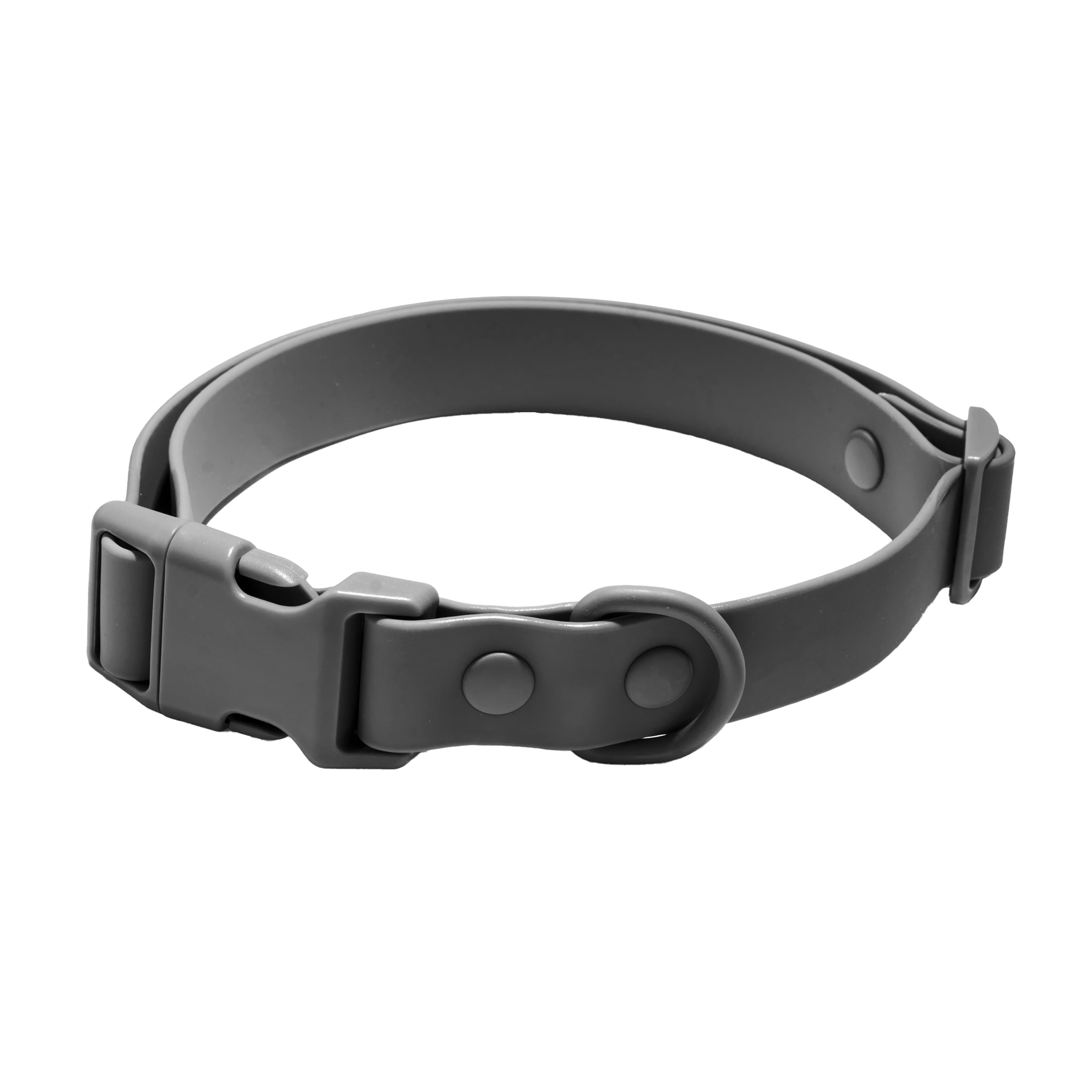 Vibrant Life Water Resistant Adjustable Dog Collar, Gray, M