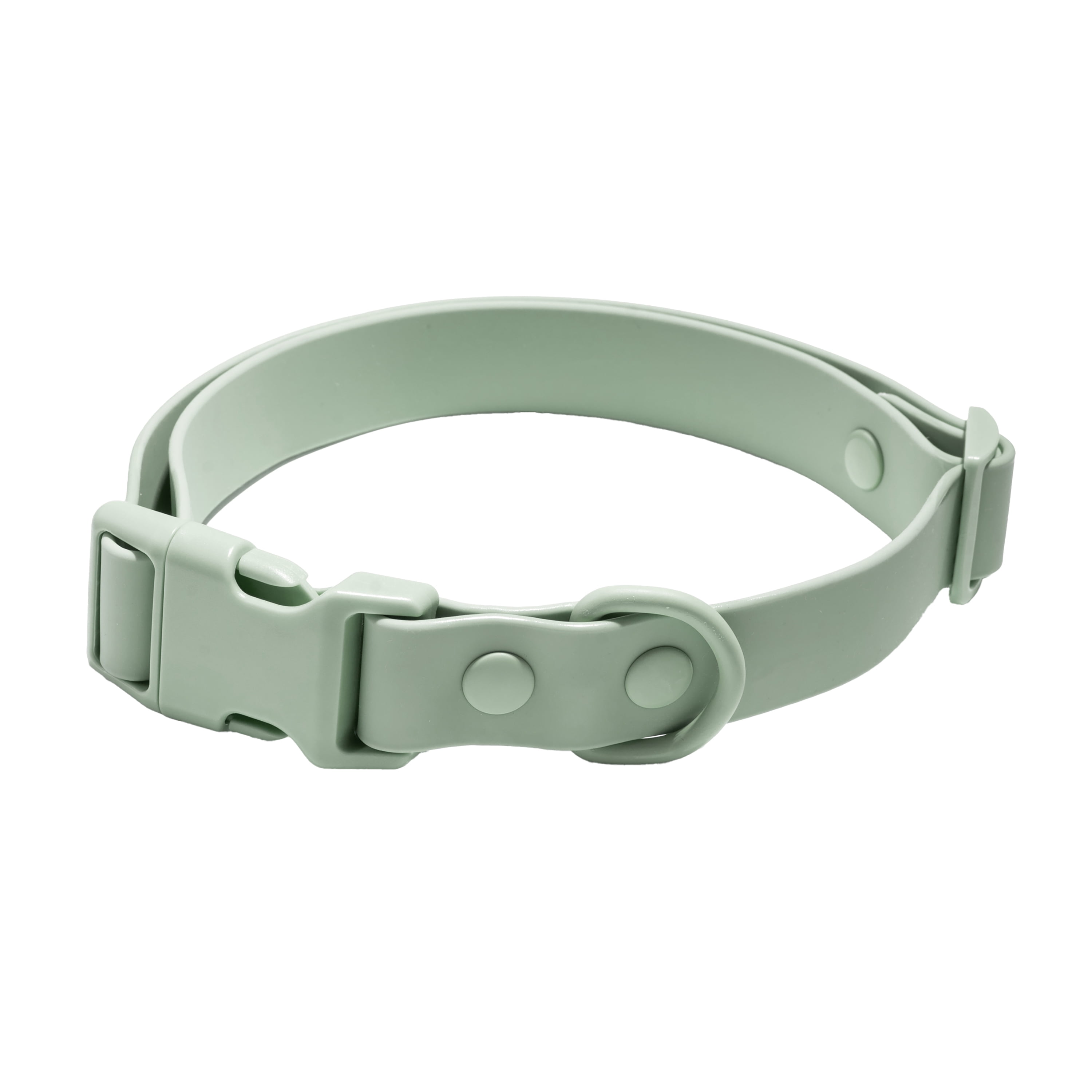 Vibrant Life Water Resistant Adjustable Dog Collar, Sage Green, S