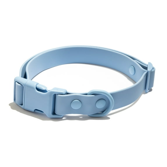 Vibrant Life Water and Dirt Resistant Fashion Pet Collar, Blue, Large