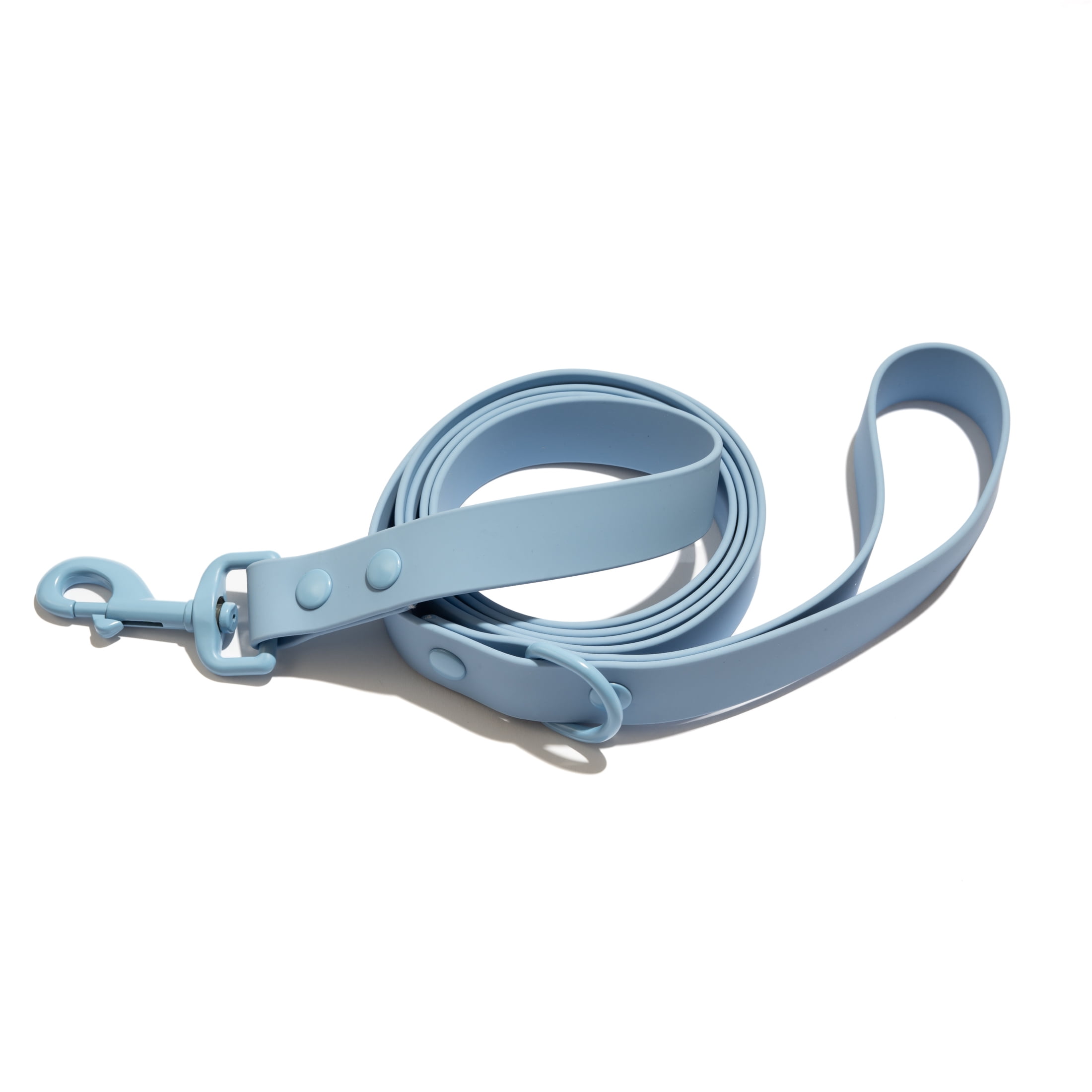 Vibrant Life Standard Dog Leash, 6 ft, Polyester and Nylon, Blue