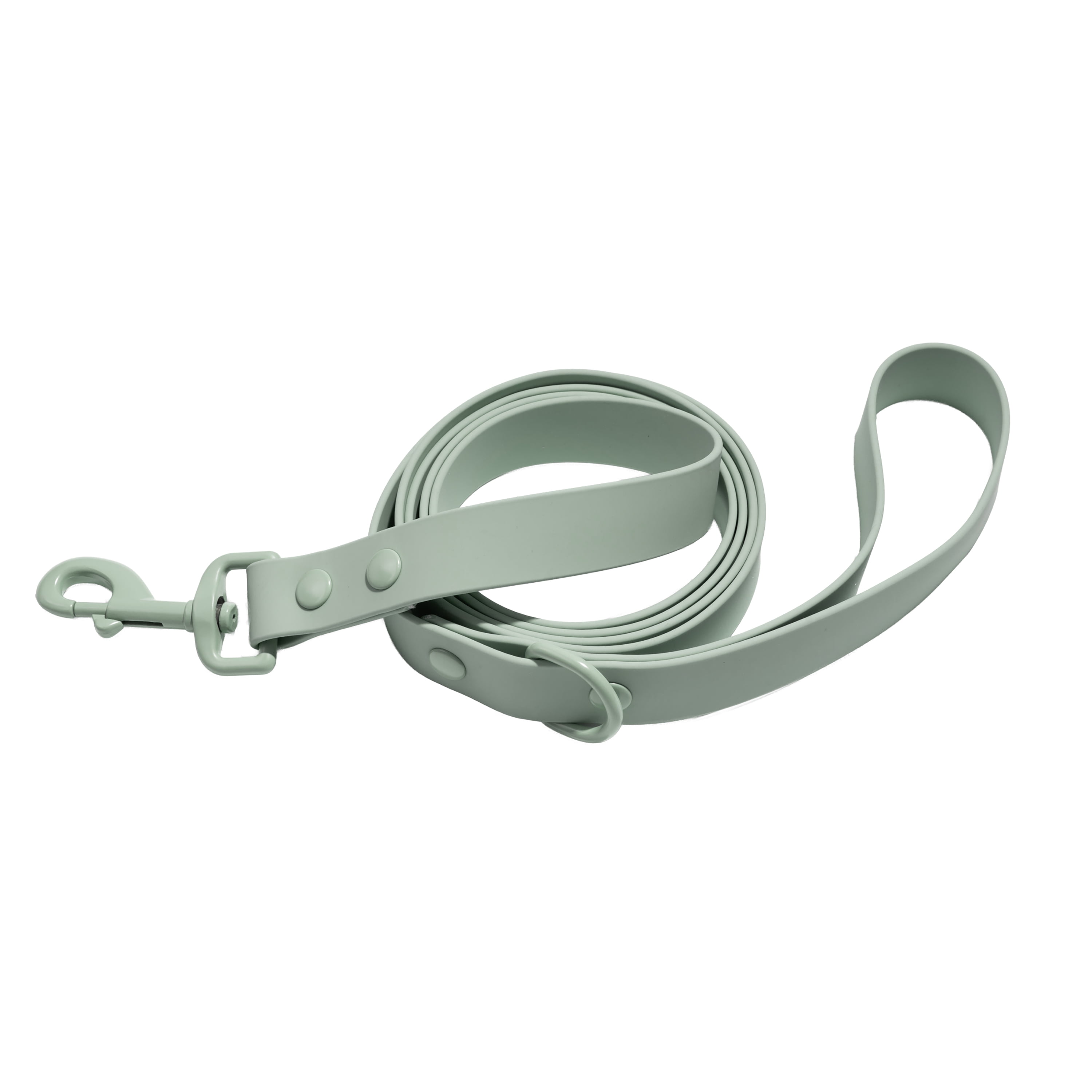Vibrant Life 6' TPU Water Resistant Standard Dog Leash, Sage Green