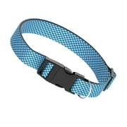 Vibrant Life Woven Padded Dog Collar, Blue, Large