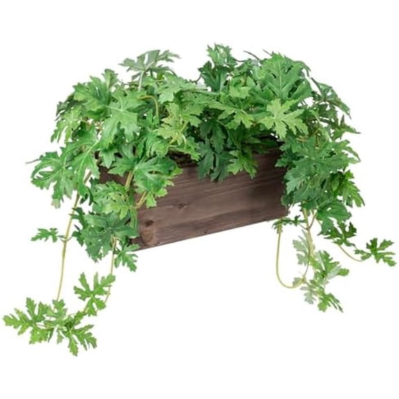 Vibrant Lifelike Artificial Plant Pelargonium Graveolens Leafy Vine Greenery in Burnt Brown Solid Wood Rectangular Planter Box
